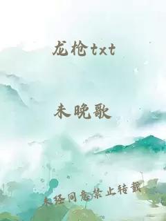 龙枪txt