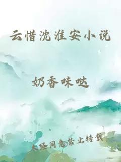 云惜沈淮安小说