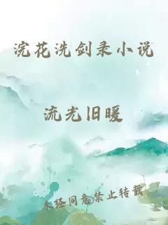 浣花洗剑录小说