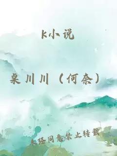 k小说