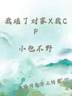 我磕了对家X我CP