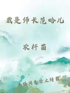 我是师长范哈儿