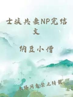 士族共妻NP完结文