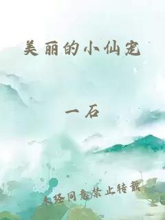 美丽的小仙宠