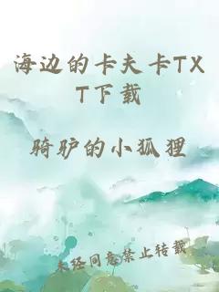 海边的卡夫卡TXT下载