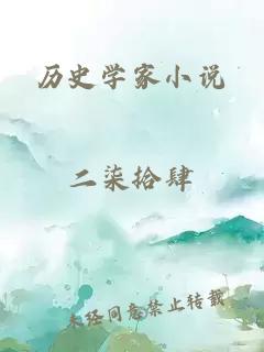 历史学家小说