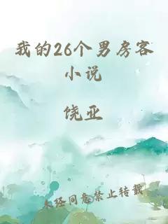 我的26个男房客小说