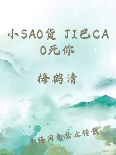 小SAO货 JI巴CAO死你