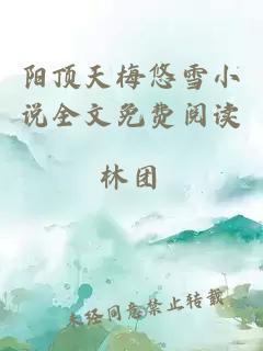 阳顶天梅悠雪小说全文免费阅读