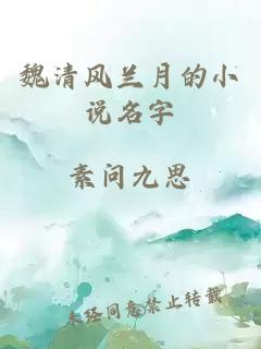 魏清风兰月的小说名字