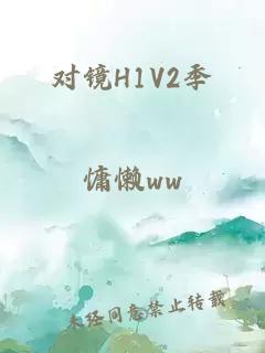 对镜H1V2季