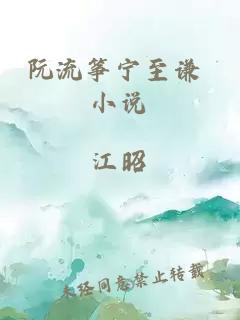 阮流筝宁至谦 小说