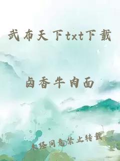 武布天下txt下载