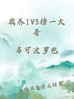 我养1V3榜一大哥