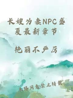 长嫂为妻NPC盛夏最新章节