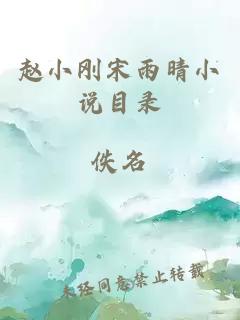 赵小刚宋雨晴小说目录