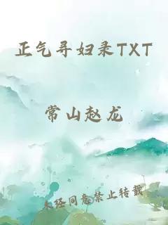 正气寻妇录TXT