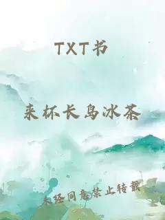 TXT书