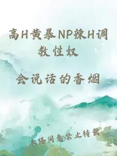 高H黄暴NP辣H调教性奴