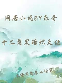 同居小说BY东哥