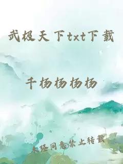 武极天下txt下载