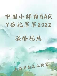 中国小鲜肉GARY西北军军2022