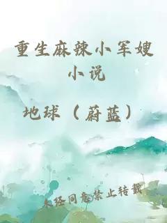 重生麻辣小军嫂 小说