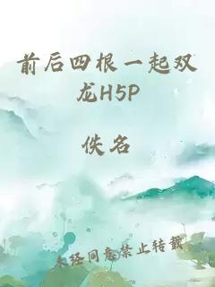 前后四根一起双龙H5P