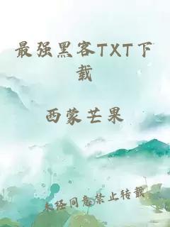 最强黑客TXT下载