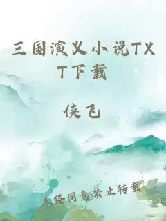 三国演义小说TXT下载