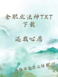 全职业法神TXT下载