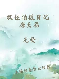 双性拍摄日记 唐天篇