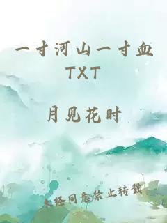 一寸河山一寸血TXT