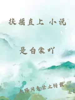 扶摇直上 小说