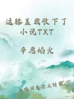 这膝盖我收下了小说TXT