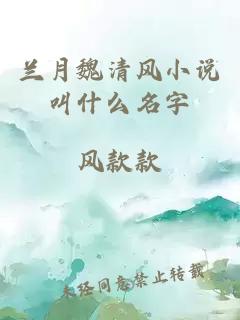 兰月魏清风小说叫什么名字