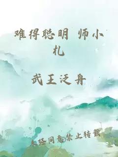 难得聪明 师小札