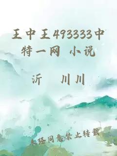 王中王493333中特一网 小说