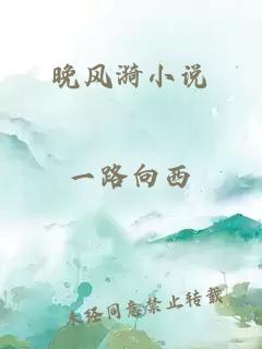 晚风漪小说