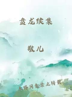 盘龙续集