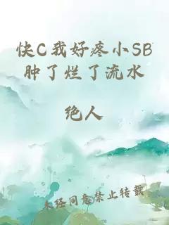 快C我好疼小SB肿了烂了流水