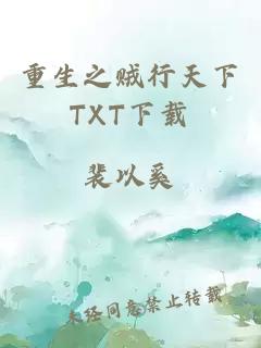 重生之贼行天下TXT下载