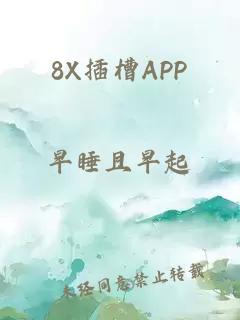 8X插槽APP