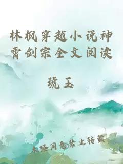 林枫穿越小说神霄剑宗全文阅读