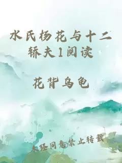 水氏杨花与十二轿夫1阅读