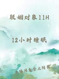 联姻对象11H