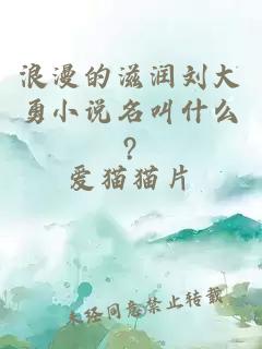 浪漫的滋润刘大勇小说名叫什么?