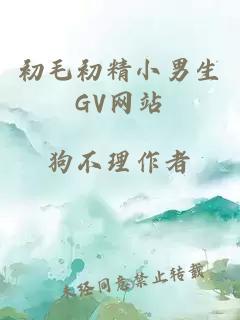 初毛初精小男生GV网站