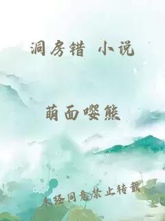 洞房错 小说