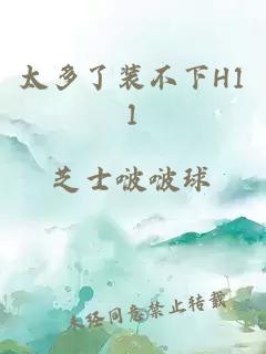 太多了装不下H11